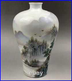 10 Chinese Qing dynasty bat Wucai porcelain landscape flower bottle vase Pot