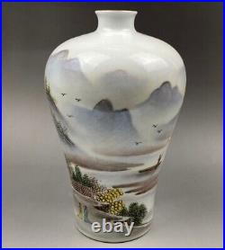 10 Chinese Qing dynasty bat Wucai porcelain landscape flower bottle vase Pot