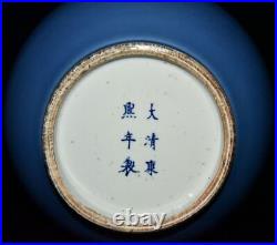 13.4 Chinese antique the Qing dynasty Kangxi Blue glaze gourd bottle