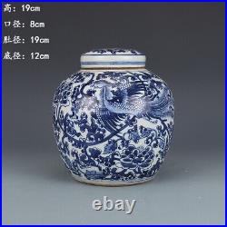 7.6 Old Chinese Qing Dynasty Blue and white Phoenix pattern Lid jar