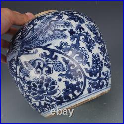 7.6 Old Chinese Qing Dynasty Blue and white Phoenix pattern Lid jar