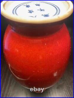 8 Chinese Old Vintage Red Glaze Porcelain Vase Qing Dynasty Kangxi Period