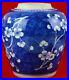 Antique-Chinese-Blue-and-White-Plum-Ice-Ginger-Jar-Qing-Dynasty-01-ab