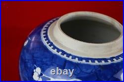 Antique Chinese Blue and White Plum Ice Ginger Jar Qing Dynasty