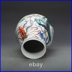 Chinese Antique Qing Dynasty Qianlong DouCai Porcelain Dragon Phoenix Zun Vases