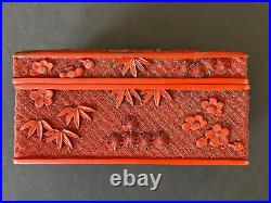 Chinese Carved Cinnabar Box, 19th Century Qing Dynasty