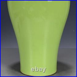 Chinese Porcelain Qing Dynasty Yongzheng Apple Green Glaze Plum Vase 9.25 Inch