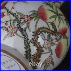 Chinese Porcelain Qing Dynasty Yongzheng Famille Rose Peach Pattern Vase 14.72'