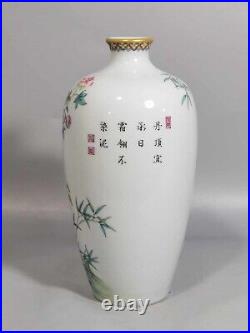 Fine Rare Qing Dynasty Chinese Porcelain Colour Enamel Cranes Vase