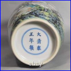 Fine Rare Qing Dynasty Chinese Porcelain Colour Enamel Cranes Vase