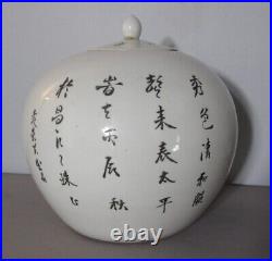 Large 19th C. QING DYNASTY Chinese Ginger Jar with Calligraphy and Birds c. 1870