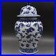 Old-Chinese-Blue-and-white-Porcelain-qing-Dynasty-dragon-pattern-jar-vase-40cm-01-mhtr