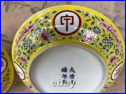 Pair Chinese Qing Dynasty Famille Rose Porcelain Plates, Guangxu Mark & Period