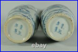 Pair FINE Antique Chinese QING Dynasty Blue White Porcelain Vase Scholar Art