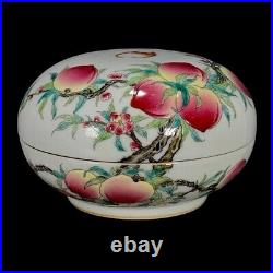 RARE Qing Dynasty DouCai CHINESE Antique Famille Rose/Verte Fruit Porcelain Box