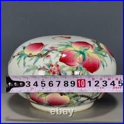 RARE Qing Dynasty DouCai CHINESE Antique Famille Rose/Verte Fruit Porcelain Box